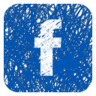 actualité / facebook